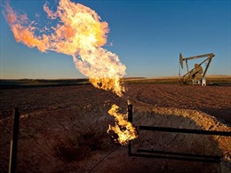 Trung Quốc, Mông Cổ hợp tác dầu mỏ 